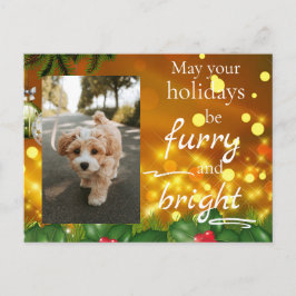 Dog Cat Pet Custom Photo Christmas Postcard Funny Feestdagenkaart