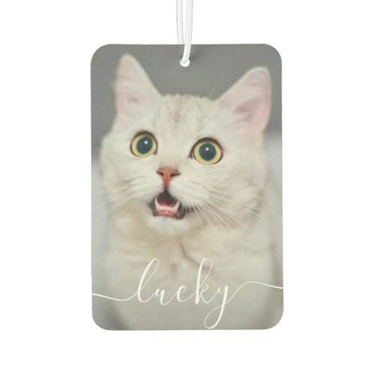 Dog Cat Pet Foto & Naam Tekst Luchtverfrisser (Achterkant)