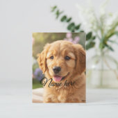 Dog cat pet name photo template simple minimal  briefkaart (Staand voorkant)