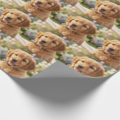 Dog cat pet name photo template simple minimal  cadeaupapier (Hoek)