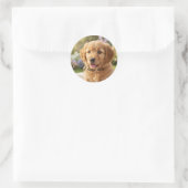 Dog cat pet name photo template simple minimal  ronde sticker (Tas)