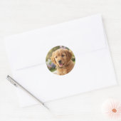 Dog cat pet name photo template simple minimal  ronde sticker (Envelop)