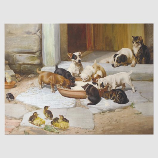 Dog Cat Puppy Kitten Duck Decoupage Tissuepapier (Voorkant)