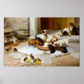 Dog Cat Puppy Kitten Keuken Poster (Voorkant)