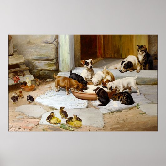  Dog Cat Puppy Kitten Keuken Poster (Voorkant)