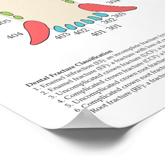 Dog Cat Veterinary Dental Chart Poster (Hoek)