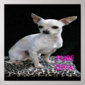 Dog Chihuahua Diva Print (Voorkant)