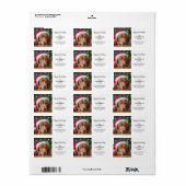 Dog Christmas Custom Photo Modern Retour Adres Etiket (Full Sheet)