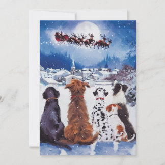 Dog, Christmas, Dogs, Rescue Dogs, Holiday, santa, Feestdagenkaart