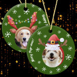 Dog Christmas Foto's w / Santa Rendier Antler Pett Keramisch Ornament<br><div class="desc">Dit feestelijke kerstboom ornament is perfect voor alle hondenliefhebbers in je leven! Met twee schattige foto's van petten met kerstman en rendiergewei tegen een groene achtergrond, brengt dit leuke ornament zeker een glimlach op ieders gezicht. De foto's kunnen worden gewijzigd in foto's van uw eigen pup of de pup van...</div>