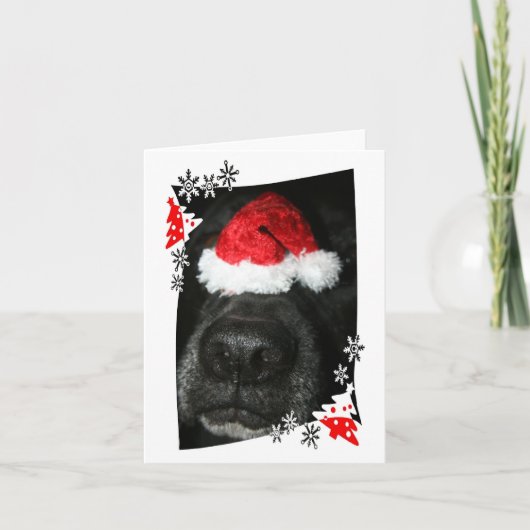 Dog Christmas pet op neus, zwart lab mix hoektand Feestdagen Kaart (Voorkant)