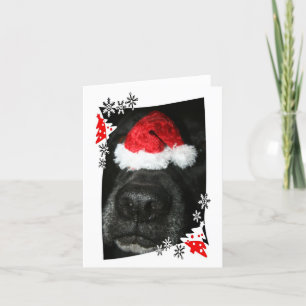 Dog Christmas pet op neus, zwart lab mix hoektand Feestdagen Kaart