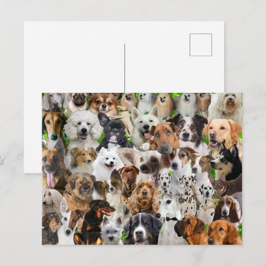 Dog Collage Briefkaart (Voorkant / Achterkant)