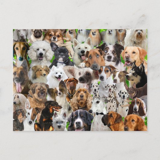 Dog Collage Briefkaart (Voorkant)