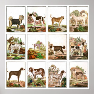 Dog Collage Poster