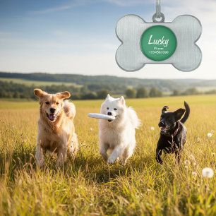 Dog collar ID label voor huisdieren    sleutelhang Huisdieren Naamplaatje