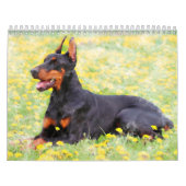 Dog Collectie Olieverfschilderijen Kunst Kalender (Hoes)