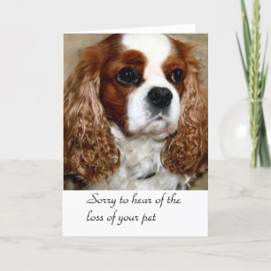 Dog Condolence Card Kaart