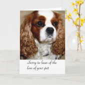 Dog Condolence Kaart (Gele Bloem)