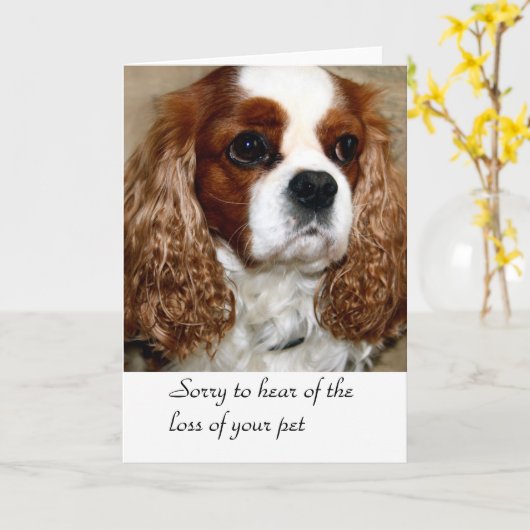 Dog Condolence Kaart (Gele Bloem)