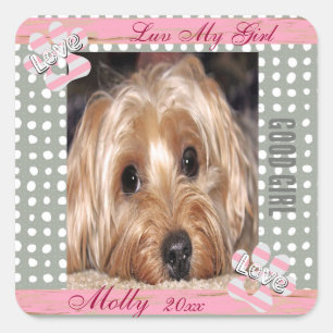 Dog Custom Photo Polka Dots Vierkante Sticker
