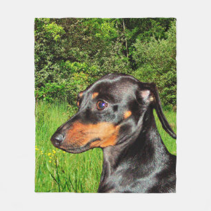 Dog Dachshund Doxie Fleece Deken