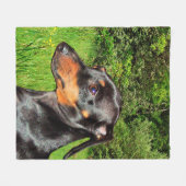 Dog Dachshund Doxie Fleece Deken (Voorkant (Horizontaal))