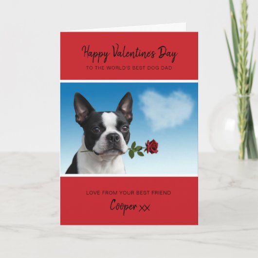 Dog Dad Valentine From Boston Terrier Holding Rose Feestdagen Kaart (Voorkant)