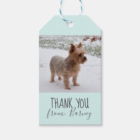 Dog dank u cadeau foto Labels Cadeaulabel (Voorkant)