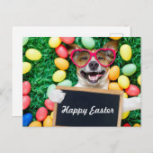 Dog Day Easter Briefkaart (Voorkant / Achterkant)