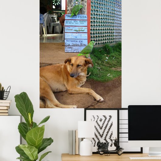 Dog Day in Little Corn Island Poster (Thuiskantoor)