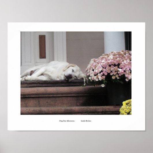 Dog Day middag afdrukken Poster (Voorkant)