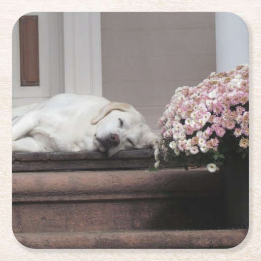 Dog Day middag Onderzetter (Voorkant)