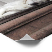 Dog Day middag Poster (Hoek)