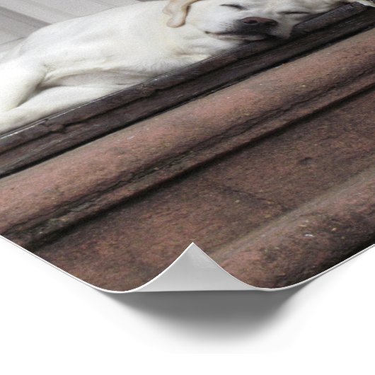 Dog Day middag Poster (Hoek)