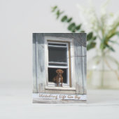 Dog Day Postscard Briefkaart (Staand voorkant)