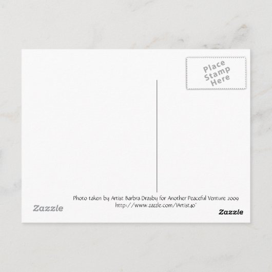 Dog Day Postscard Briefkaart (Achterkant)