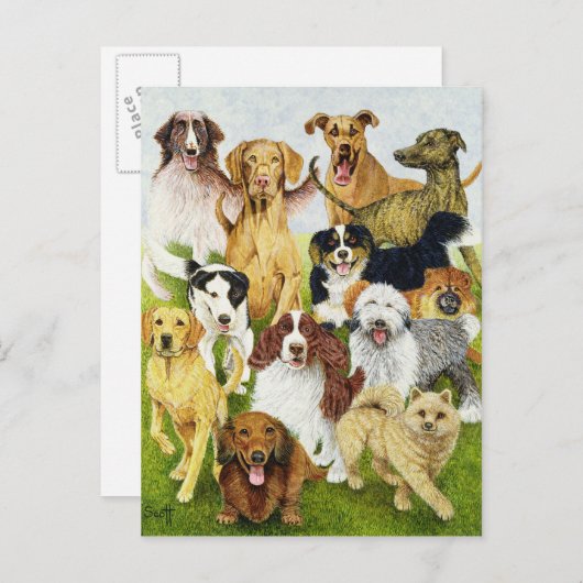 Dog Days Briefkaart (Voorkant / Achterkant)