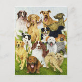 Dog Days Briefkaart (Voorkant)