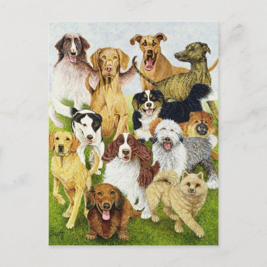 Dog Days Briefkaart (Voorkant)