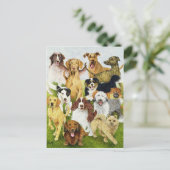 Dog Days Briefkaart (Staand voorkant)
