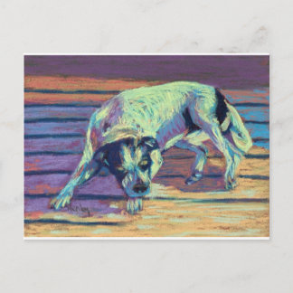 Dog Days Briefkaart