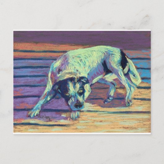 Dog Days Briefkaart (Voorkant)