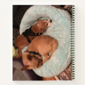 Dog Days Idea Planner Notitieboek (Achterkant)