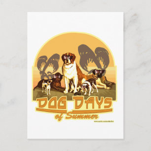 Dog Days of Summer Briefkaart