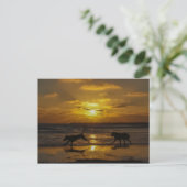Dog Days of Summer Briefkaart (Staand voorkant)