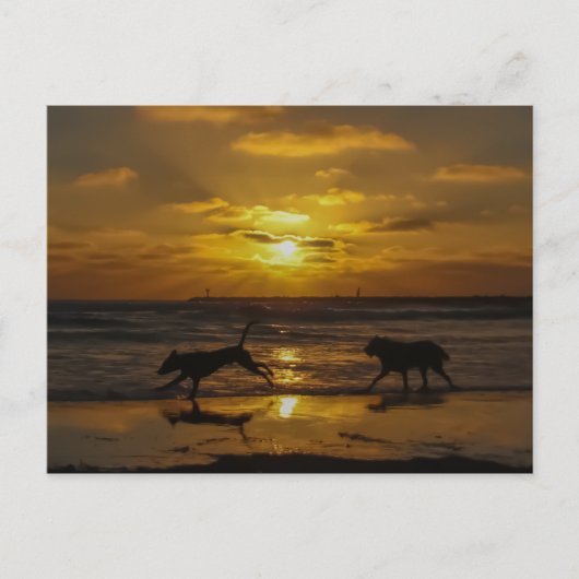 Dog Days of Summer Briefkaart (Voorkant)
