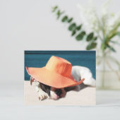 Dog Days of Summer in de Seashore Briefkaart (Staand voorkant)