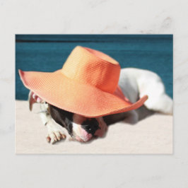 Dog Days of Summer in de Seashore Briefkaart