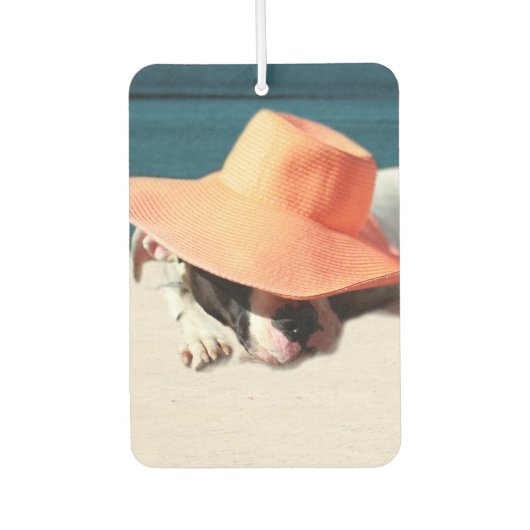 Dog Days of Summer in de Seashore Luchtverfrisser (Voorkant)